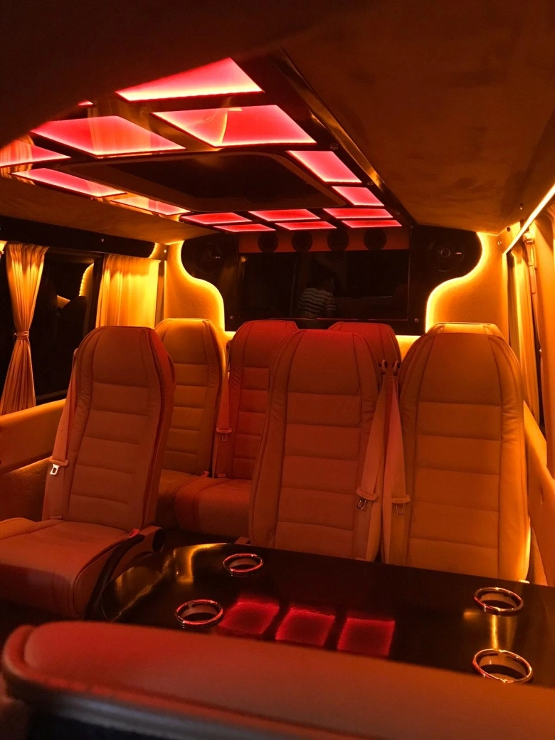 Мерседес Спринтер VIP