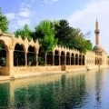 urfa_balikligol.jpg